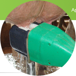 F60 lave trayons de PULI-SISTEM